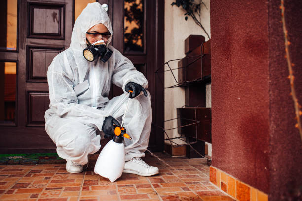 Attic and Crawl Space Rodent Treatment in South Patrick Shores